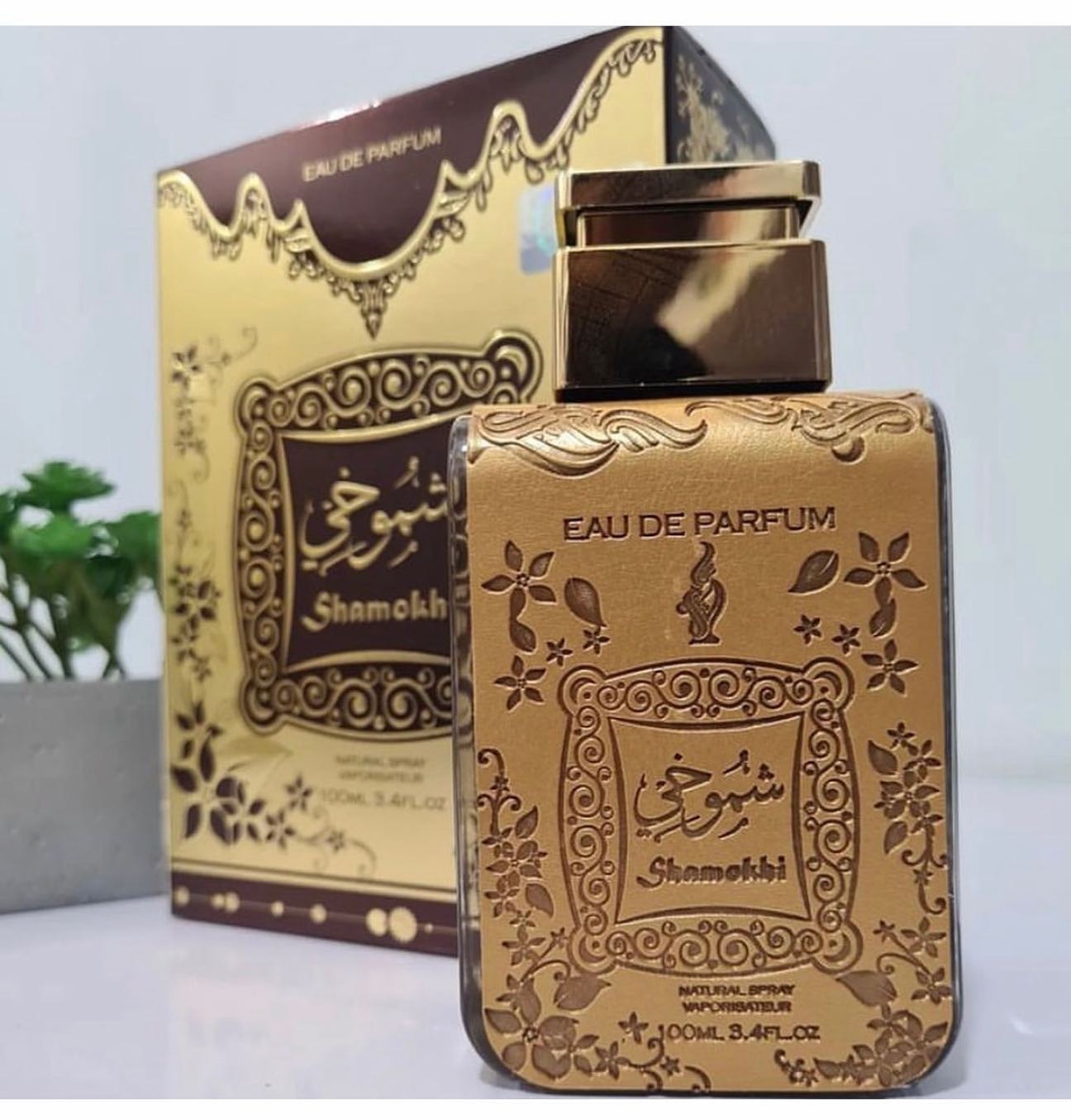 Fragrance World SHAMOKI 100ML